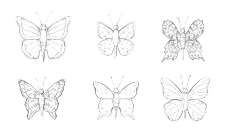 Wie zeichnet man einen wunderschönen Schmetterling?