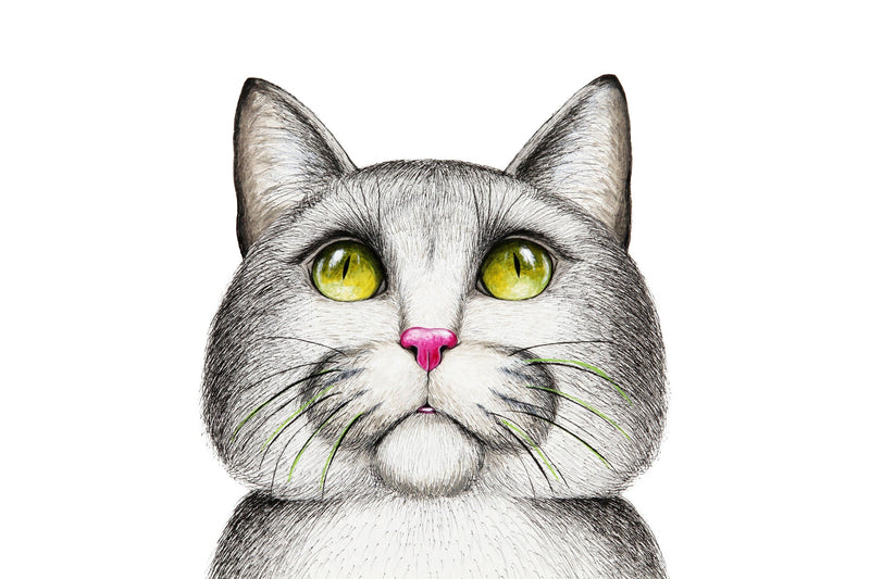 5 Wege, eine Katze zu malen