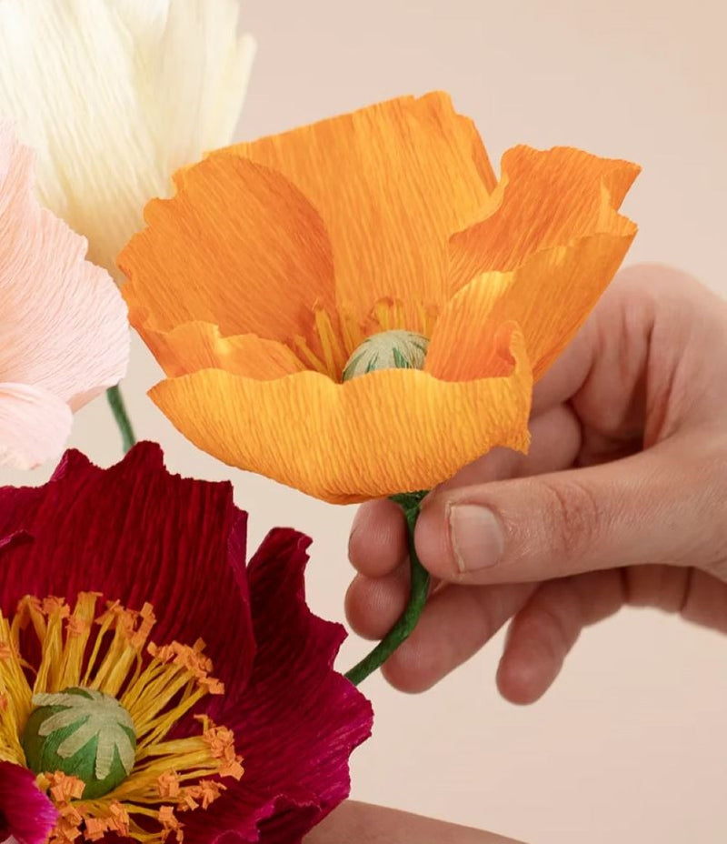 Bastel dir: Krepppapierblumen