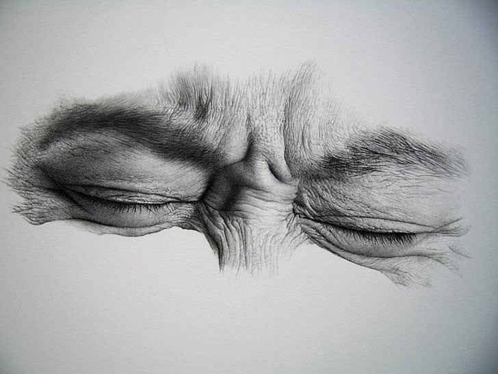 Disegniamo a matita: Impara le tecniche di disegno