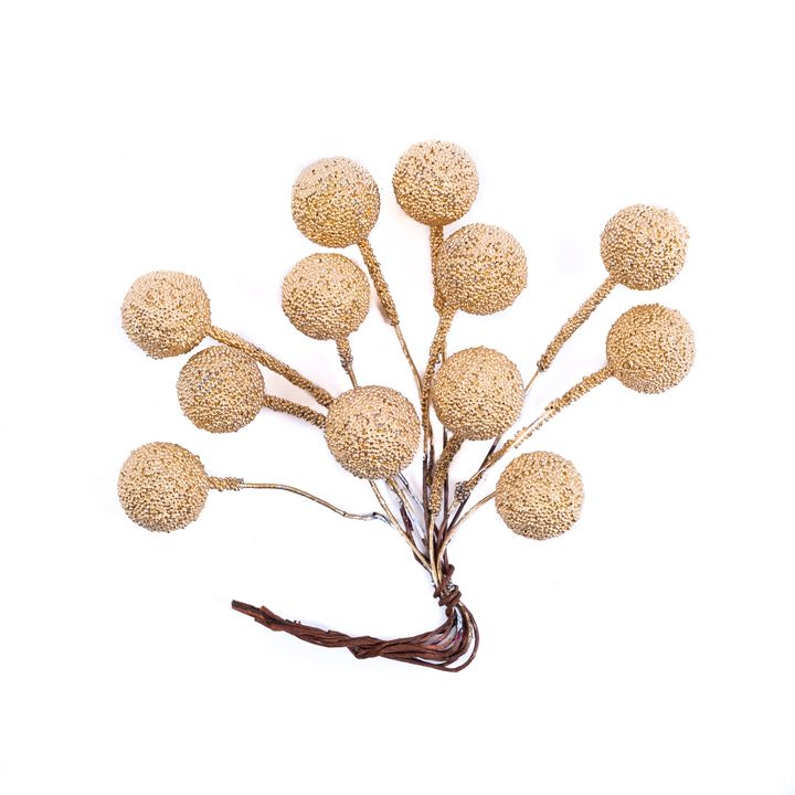 3D-Dekorationszweige mit goldenen Beeren — Bild 2