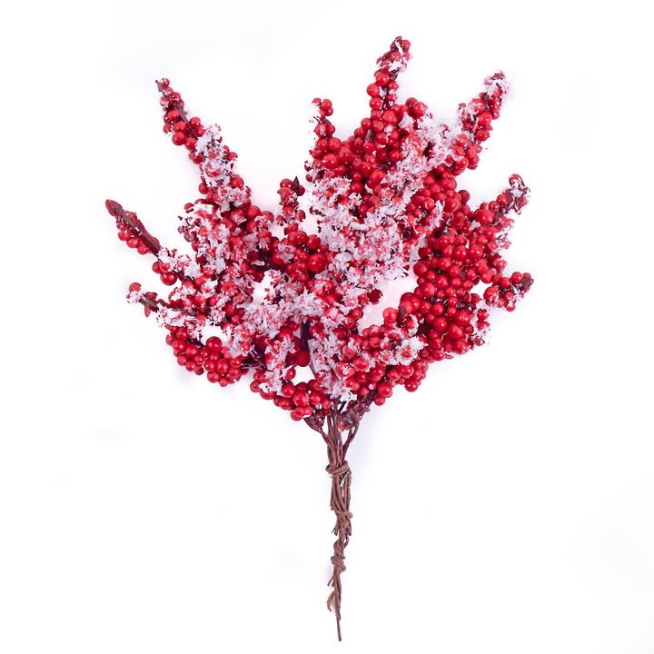 3D Dekorative Zweige mit kleinen roten Beeren — Bild 4