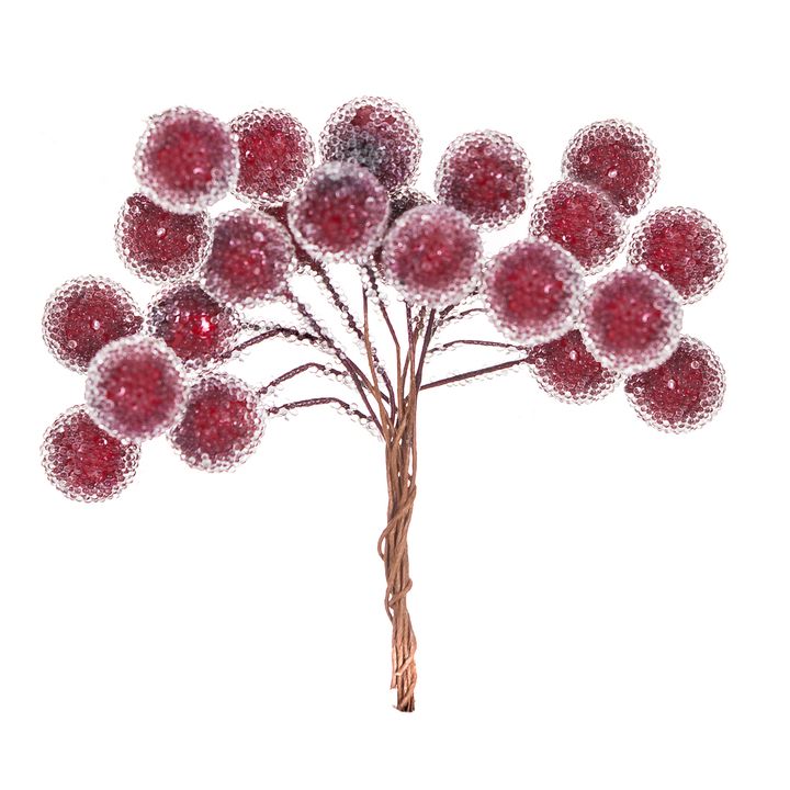 3D Dekorative Zweige mit roten Beeren — Bild 2