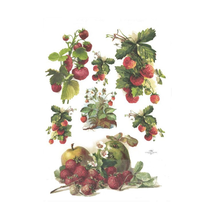 A4-Reispapier - Erdbeeren von ITD — Bild 2
