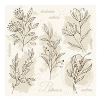 Beige Blumen Illustration Decoupage Servietten — Bild 1