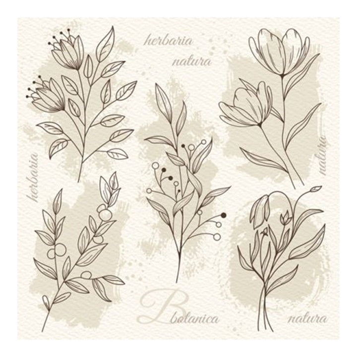 Beige Blumen Illustration Decoupage Servietten — Bild 1