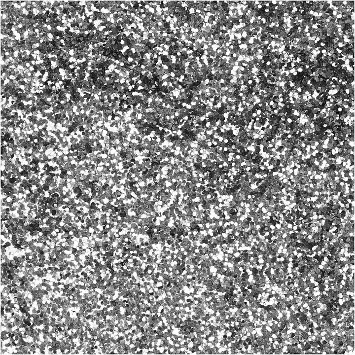 Bio Glitter Silber 10g — Bild 1