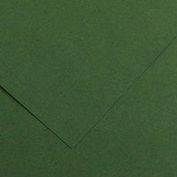 CANSON Iris Vivaldi Buntpapier 50 x 65 cm, 240 g – Tanne 31