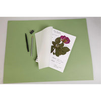 CLAIREFONTAINE Herbarium 180 g/m² 21 x 21 cm - 32 Blatt
