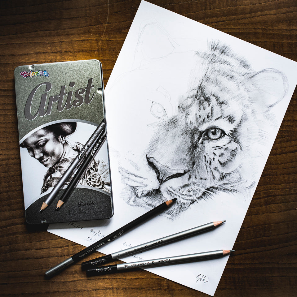 Colorino Artist Zeichenset mit Graphitstiften und Zeichenkohle im Metalletui