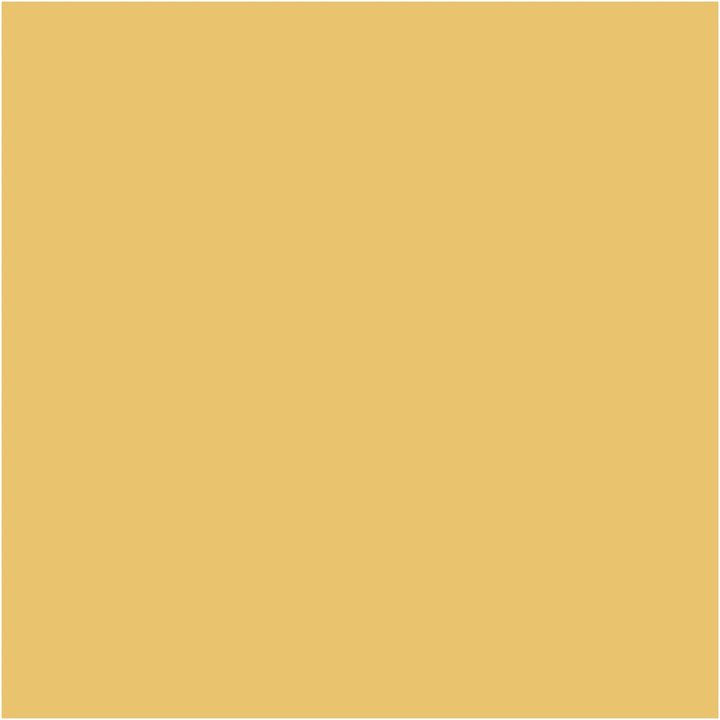 Dekorative Chalky Kreidefarbe Pentart 100 ml | verschiedene Farbtöne — Bild 51