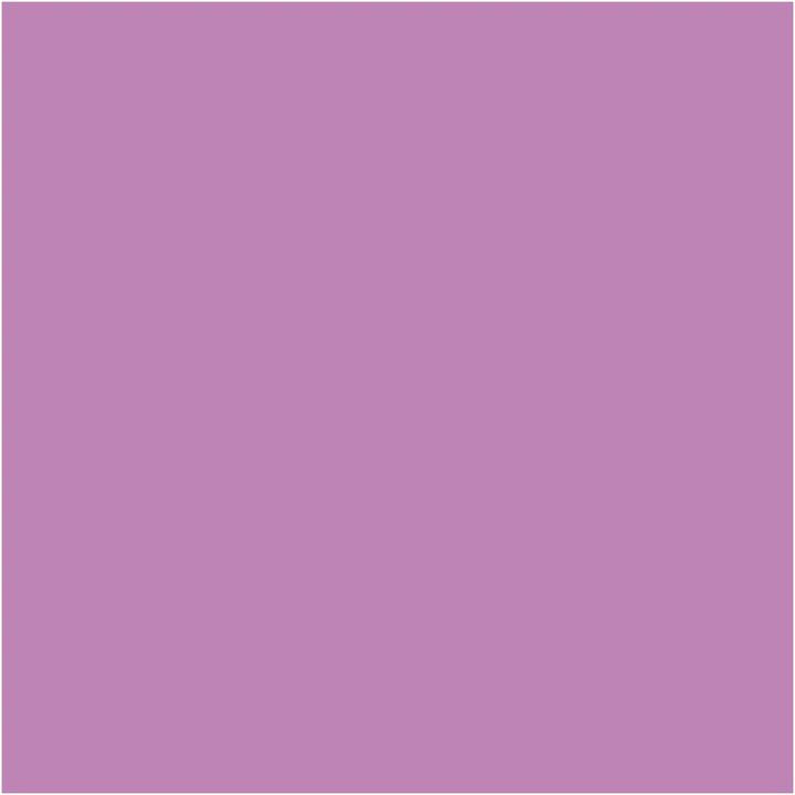 Dekorative Chalky Kreidefarbe Pentart 100 ml | verschiedene Farbtöne — Bild 19