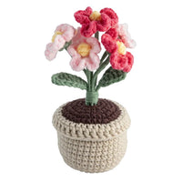 DIY Häkelset Blumentopf rosa Blumen — Bild 1
