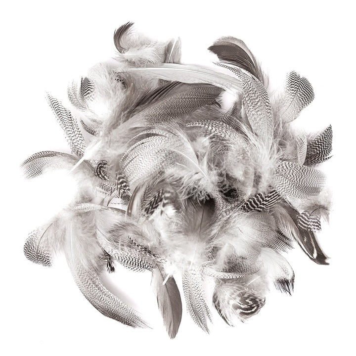 Entenfedern 5 - 12 cm / 5 g — Bild 1