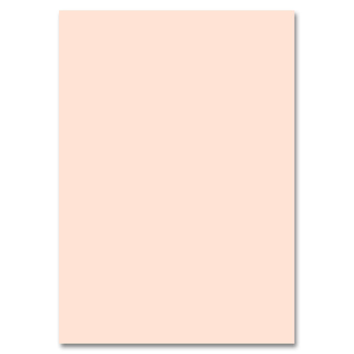 Fotokarton 50x70 cm – Rosa