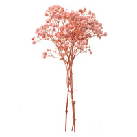 Hellrosa Schleierkraut - 4 Stiele, 20 cm — Bild 4