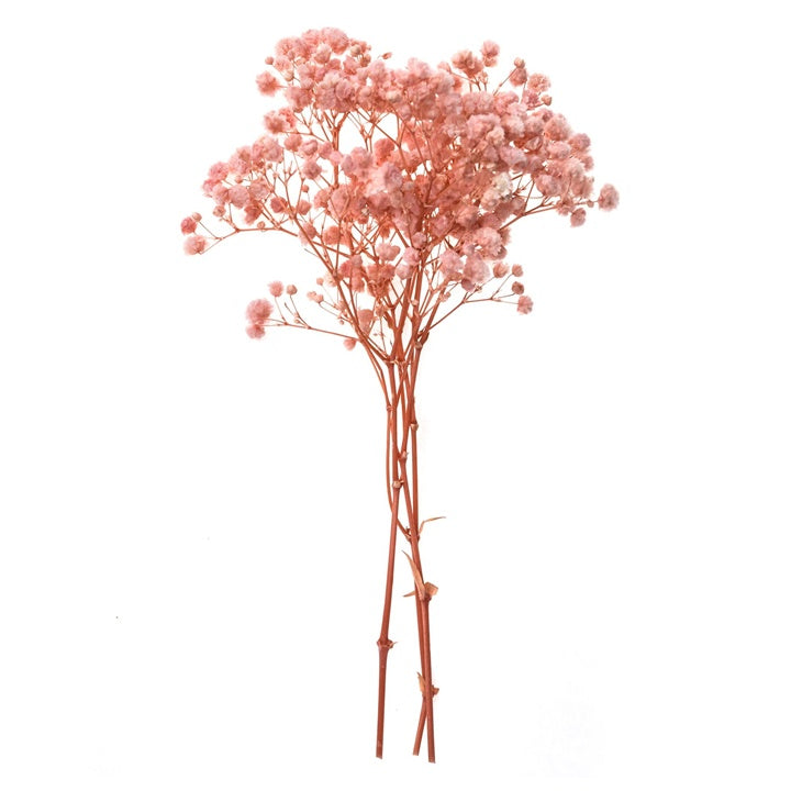 Hellrosa Schleierkraut - 4 Stiele, 20 cm — Bild 4