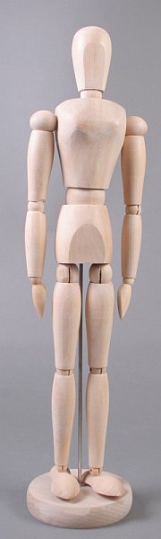 Holzmodell des menschlichen Körpers - weiblich - 40 cm — Bild 2