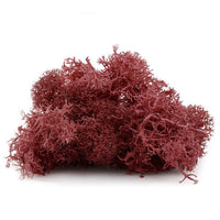 Islandmoos 12 g | verschiedene Farben — Bild 3