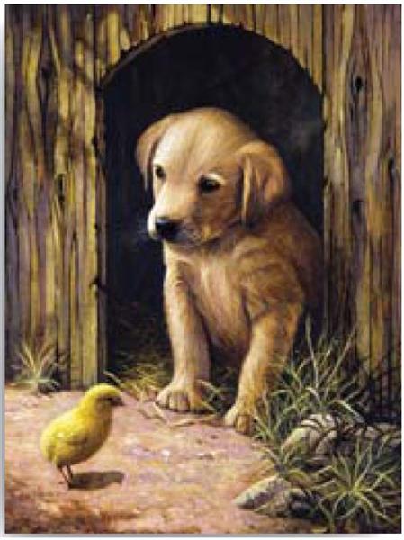 Labrador-Welpe Malen-nach-Zahlen-Bausatz — Bild 1