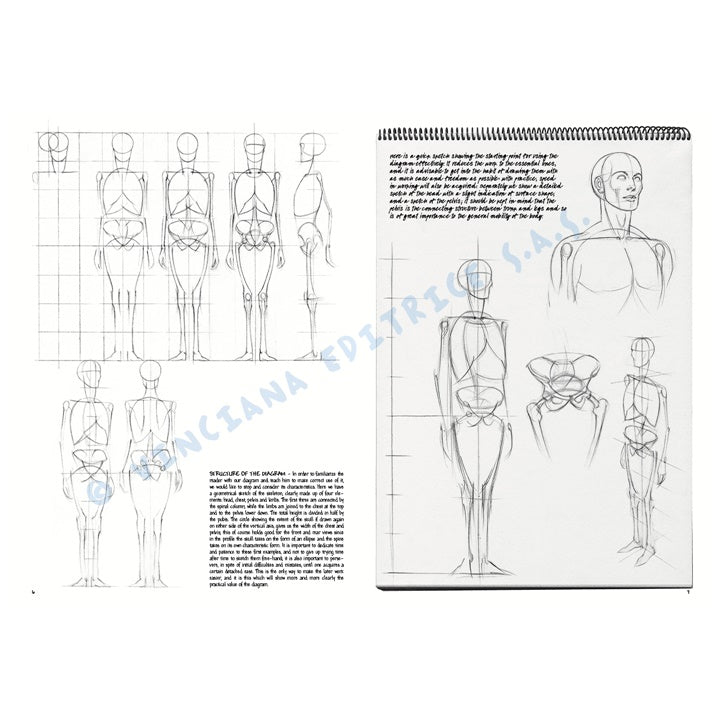Leonardo Collection 02 Grundlagen des Zeichnens — Bild 8