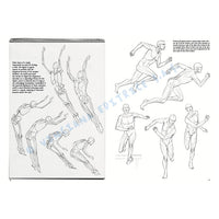 Leonardo Collection 02 Grundlagen des Zeichnens — Bild 10