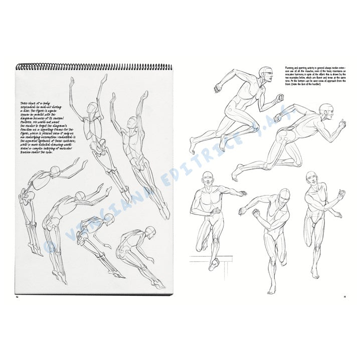 Leonardo Collection 02 Grundlagen des Zeichnens — Bild 10