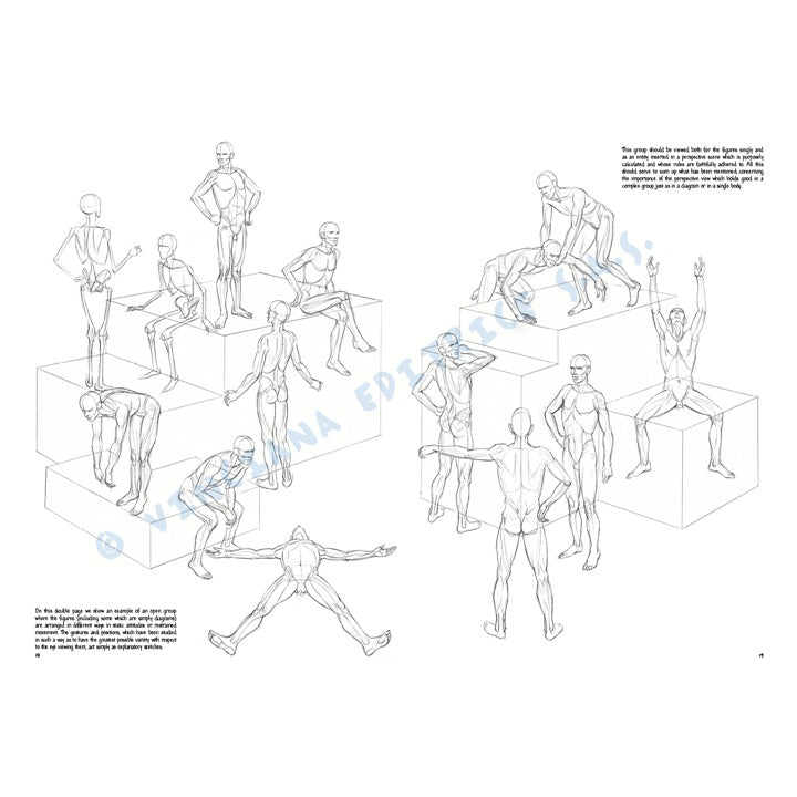 Leonardo Collection 02 Grundlagen des Zeichnens — Bild 11