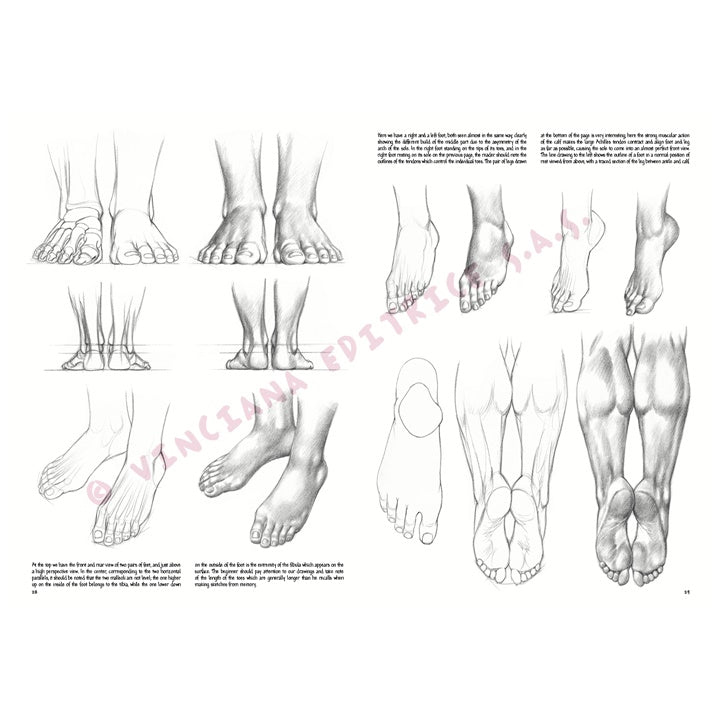 Leonardo Collection 03 Grundlagen des Zeichnens — Bild 1