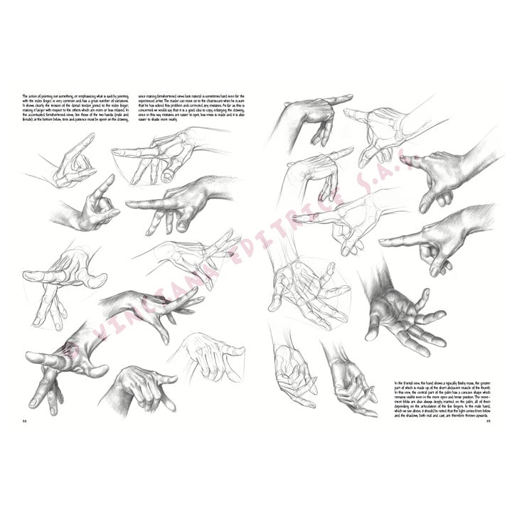 Leonardo Collection 03 Grundlagen des Zeichnens — Bild 10