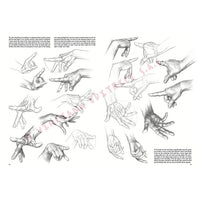 Leonardo Collection 03 Grundlagen des Zeichnens — Bild 10