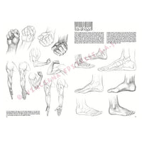Leonardo Collection 03 Grundlagen des Zeichnens — Bild 11