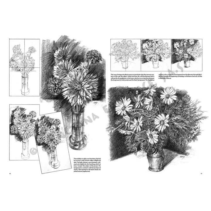 Leonardo Collection 21 Blumen Zeichenbuch — Bild 9