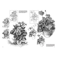 Leonardo Collection 21 Blumen Zeichenbuch — Bild 10
