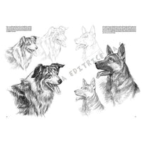 Leonardo Kollektion 13 - Tiere — Bild 1