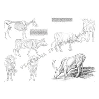 Leonardo Kollektion 13 - Tiere — Bild 8