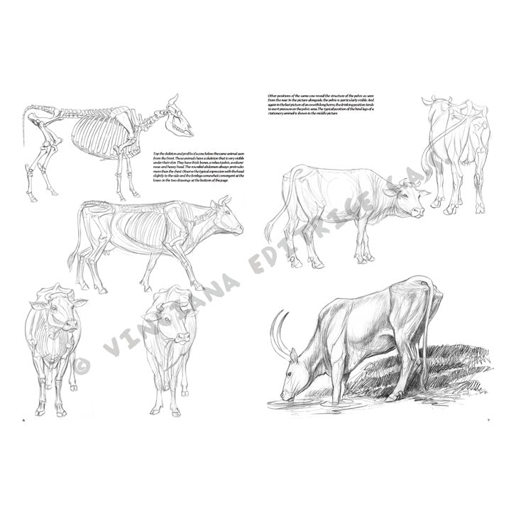 Leonardo Kollektion 13 - Tiere — Bild 8