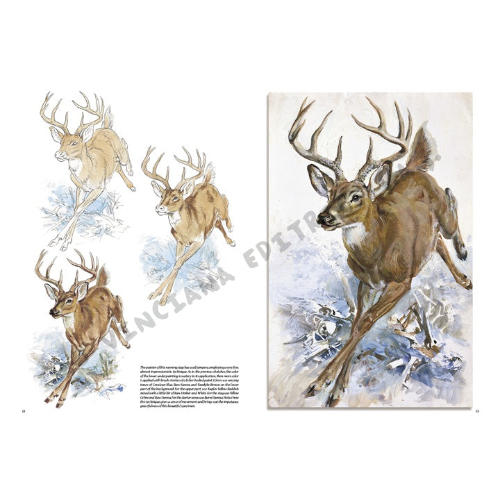 Leonardo Kollektion 13 - Tiere — Bild 9