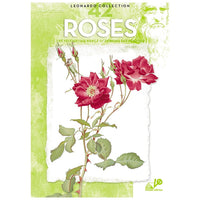 Leonardo Kollektion 42 Rosen — Bild 8
