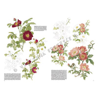Leonardo Kollektion 42 Rosen — Bild 10
