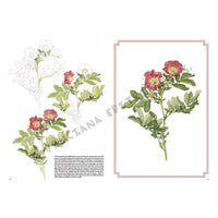 Leonardo Kollektion 42 Rosen — Bild 13