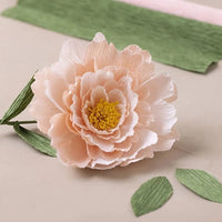 Mini-Kreativ-Set | Krepppapier Pfingstrose — Bild 1