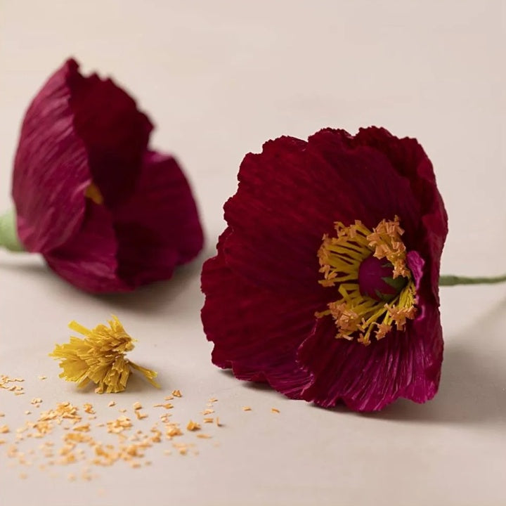 Mini-Kreativ-Set | Mohnblumen aus Krepppapier — Bild 1