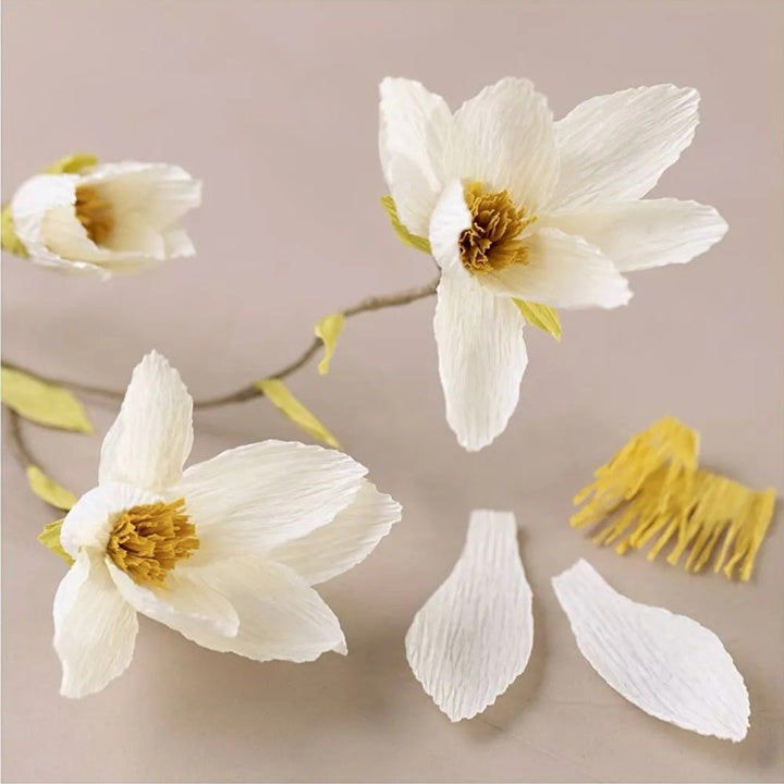 Mini-Kreativ-Set | Papierkrepp Magnolienzweig — Bild 1