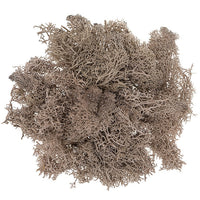 Natürliches Rentier-Moos 30 g