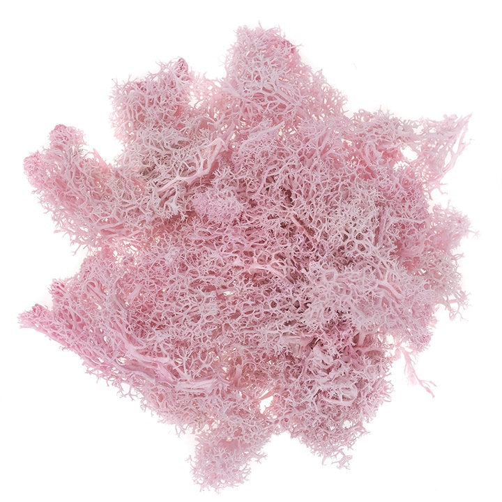 Natürliches Rentier-Moos 30 g | verschiedene Farben — Bild 4