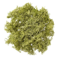 Natürliches Rentier-Moos 30 g