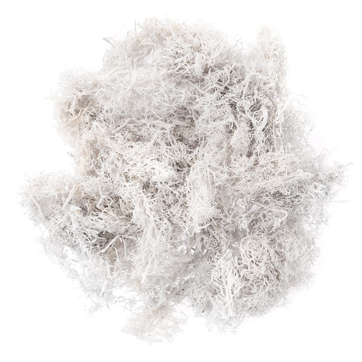 Natürliches Rentier-Moos 30 g | verschiedene Farben — Bild 8