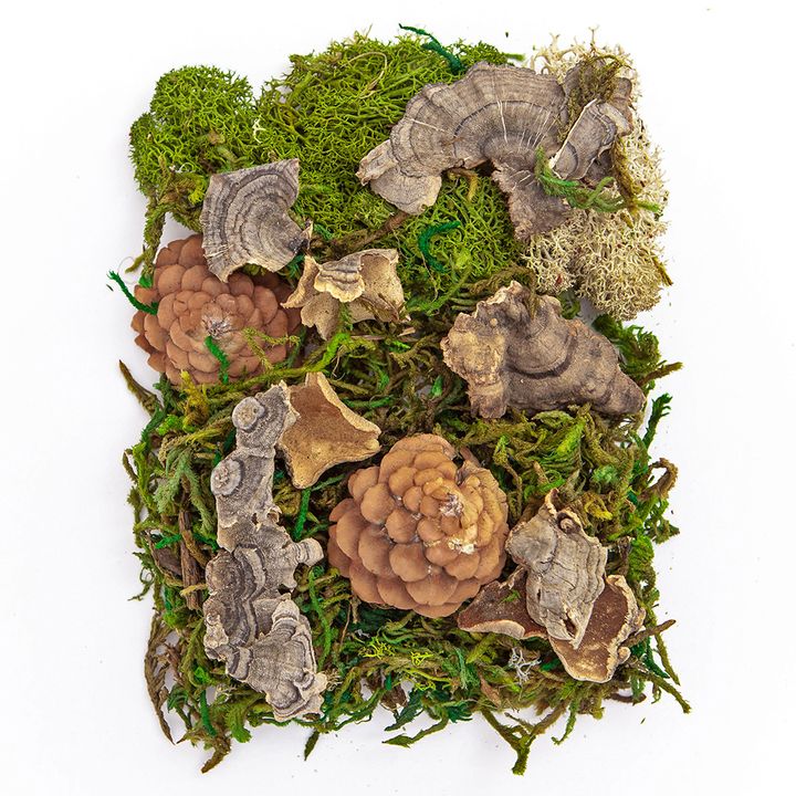Natur-Mix aus Moos und Trockenelementen 30 g — Bild 2