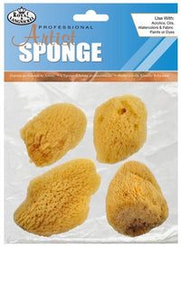 Natural Artist's Sponge Set (4 Teile) — Bild 1